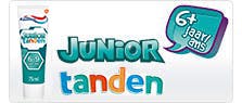 junior teeth junior teeth